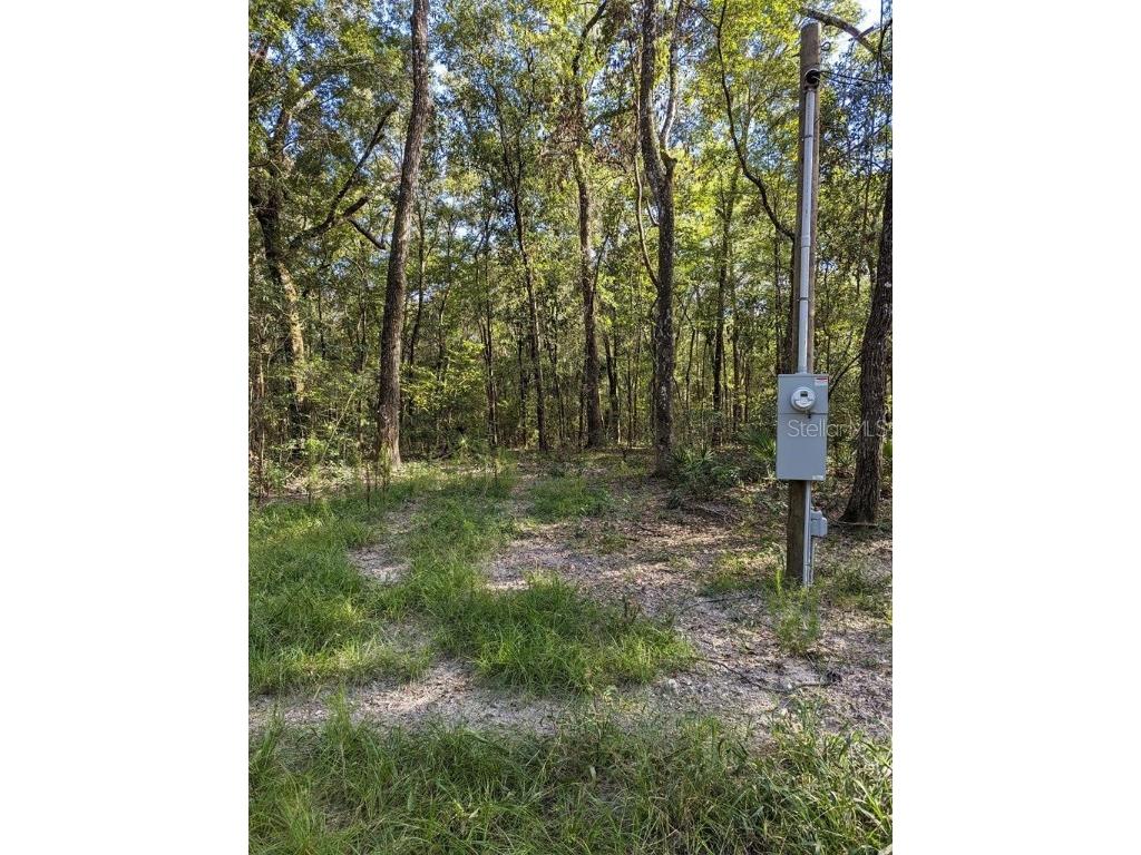 Lots 2 3 & 4 NW 82nd Terrace Bell FL 32619 - SUWANNEE RIVER GC515988 image1