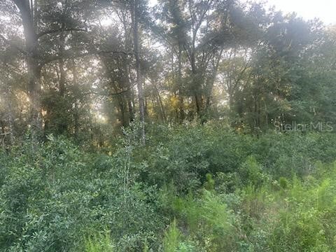 Lots 2 & 3 SW 156 Avenue Ocala FL 34481 OM662538 image1