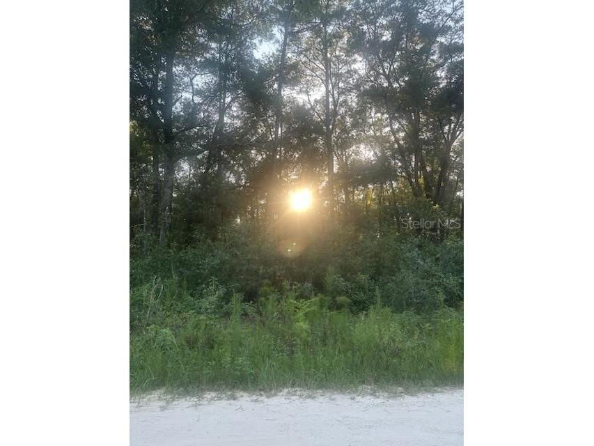 Lots 2 & 3 SW 156 Avenue Ocala FL 34481 OM662538 image2