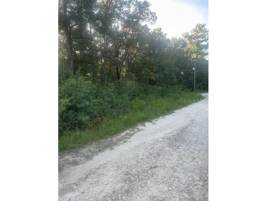 Lots 2 & 3 SW 156 Avenue Ocala FL 34481 OM662538 image3
