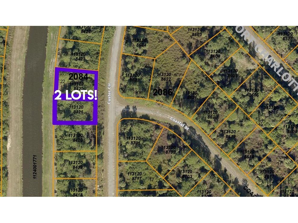 Lots 21 & 22 Custer Circle North Port FL 34288 C7445128 image1