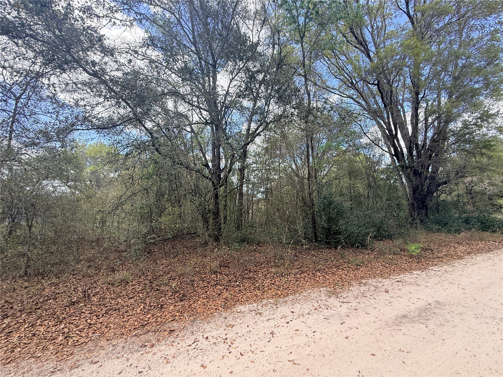 Lots 31-33 NW 52nd Avenue Ocala FL 34482 OM720912 image2