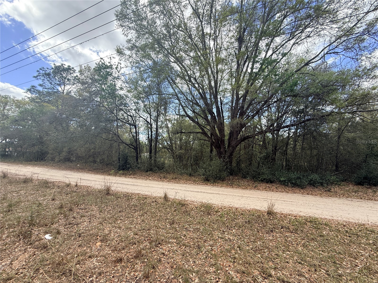 Lots 31-33 NW 52nd Avenue Ocala FL 34482 OM720912 image3