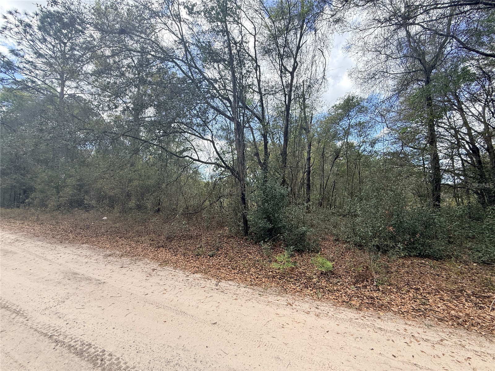 Lots 31-33 NW 52nd Avenue Ocala FL 34482 OM720912 image6