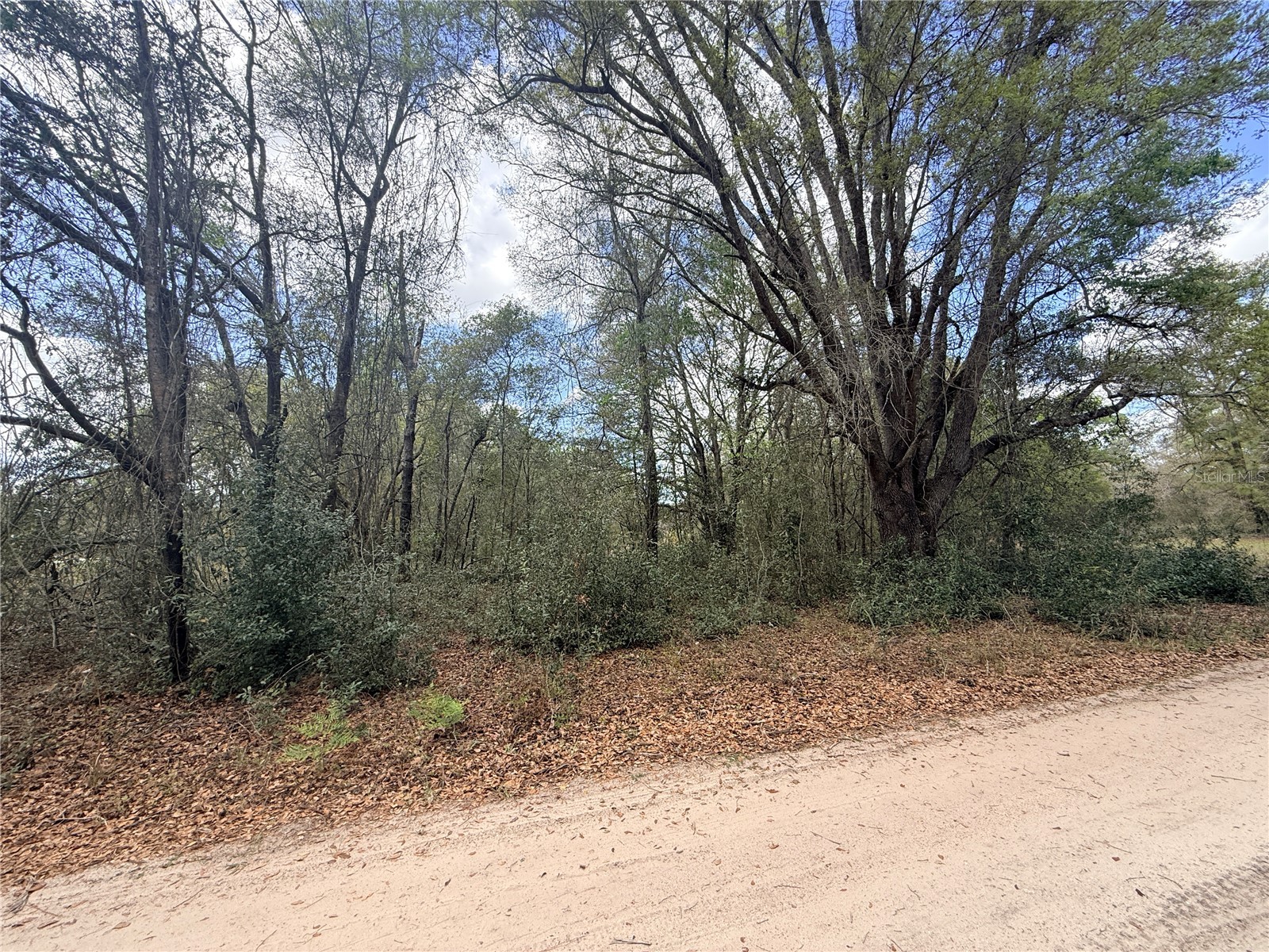Lots 31-33 NW 52nd Avenue Ocala FL 34482 OM720912 image7