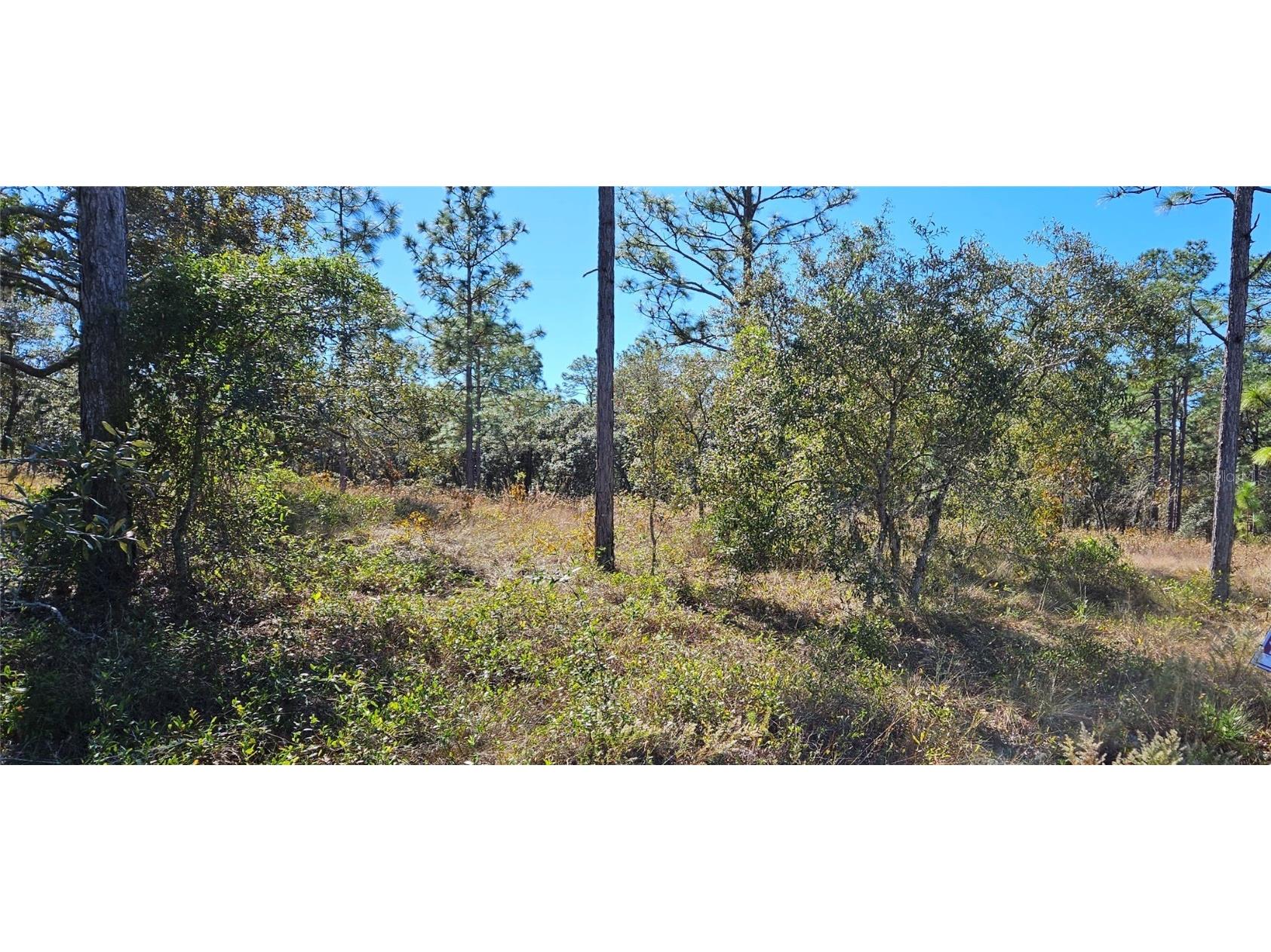 Lots 34 & 35 SW Mango Lane Dunnellon FL 34431 OM690232 image1