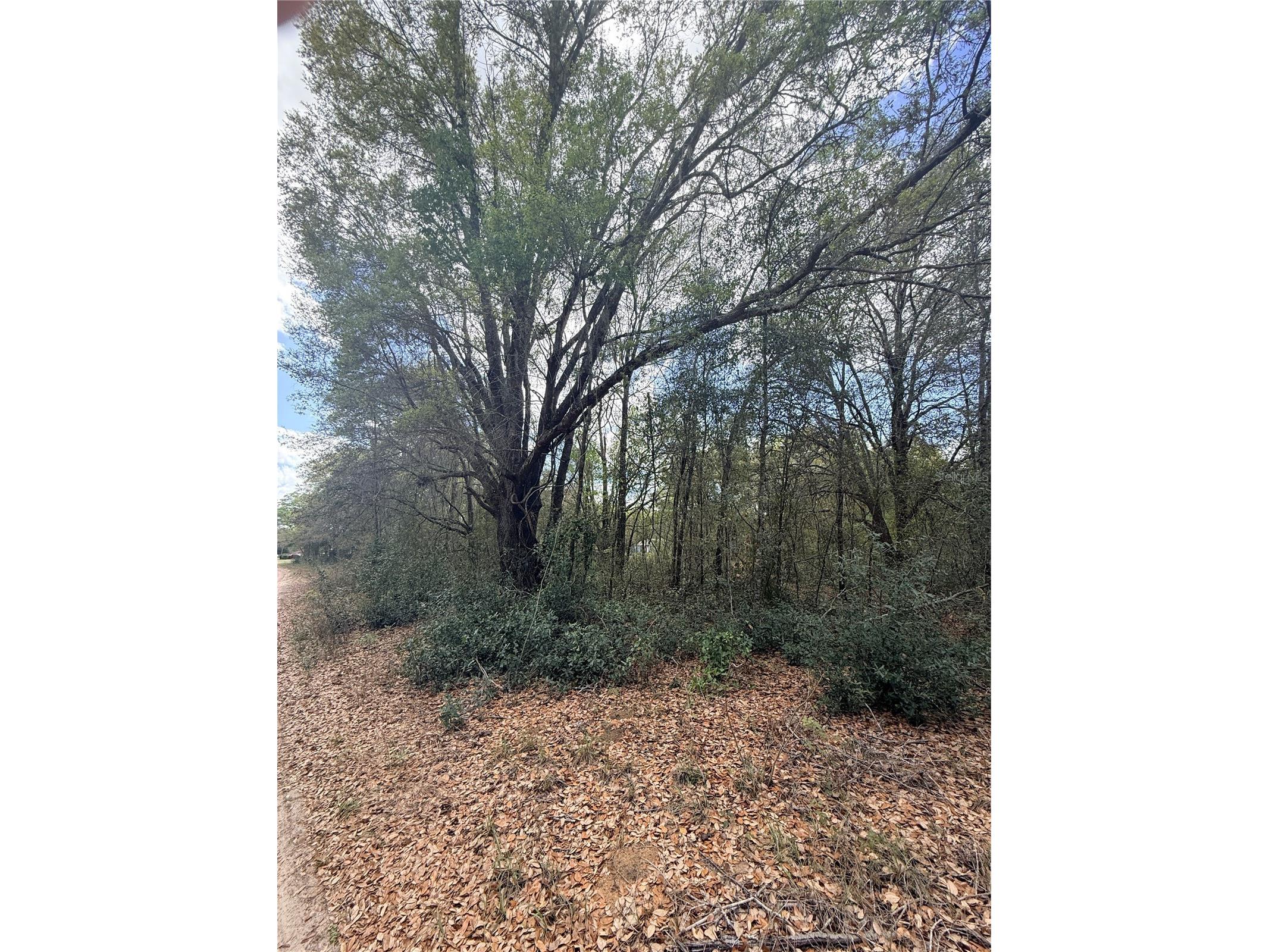 Lots 34-36 NW 52nd Ave Ocala FL 34482 OM720731 image7