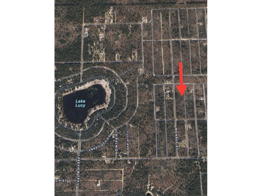 Lots 39-44 17th Street Interlachen FL 32148 D6138194 image5