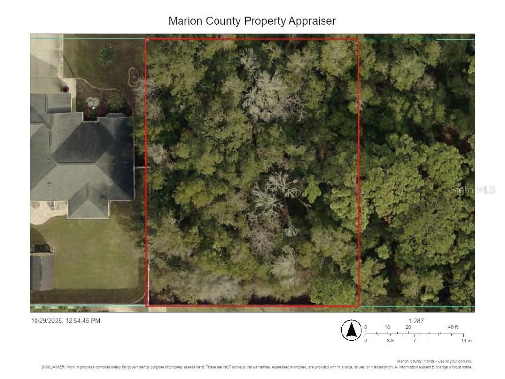 Lots 41-44 SE 161 Place Summerfield FL 34491 OM712513 image1