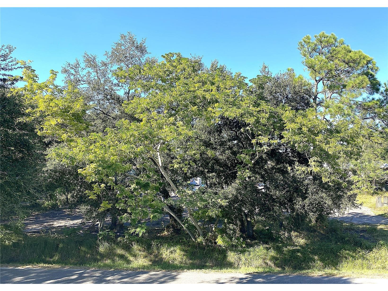 Lots 45830AB and C New York Drive Tampa FL 33619 TB8449053 image1