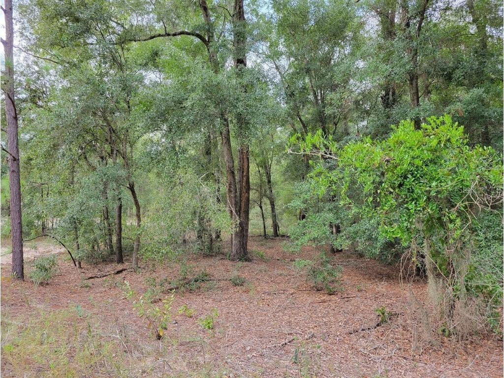 Lots 55-59 NW 16th Place Ocala FL 34482 OM684255 image1