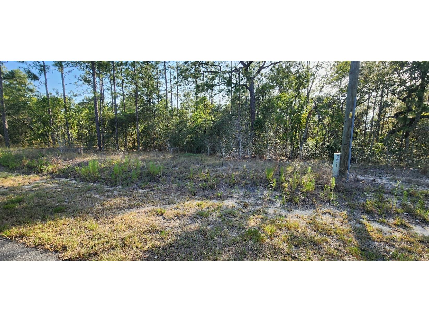 Lots 6 and 7 SW Hillcrest Avenue Dunnellon FL 34431 OM702113 image1