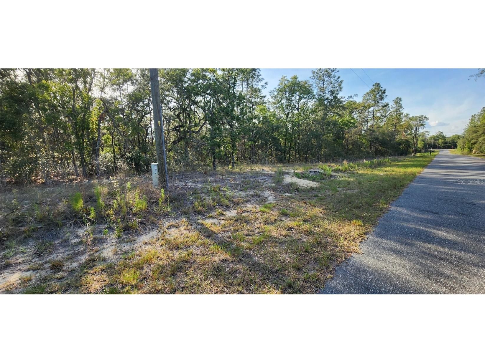 Lots 6 and 7 SW Hillcrest Avenue Dunnellon FL 34431 OM702113 image2