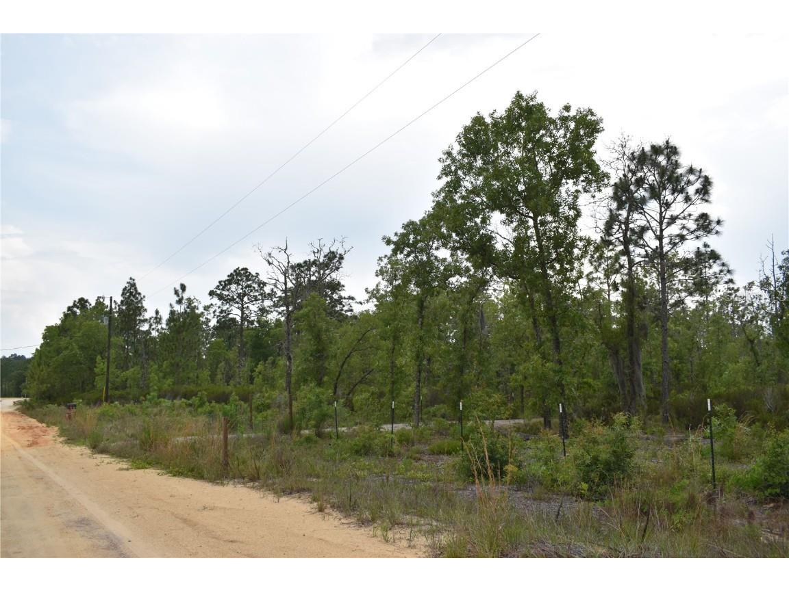 Lots 7 8 9 10 11 12 Hudson Trail Interlachen FL 32148 OM657971 image1