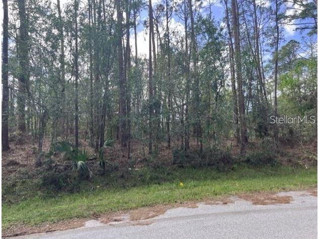 Lots 7 & 8 Latour Avenue North Port FL 34291 D6135009 image1