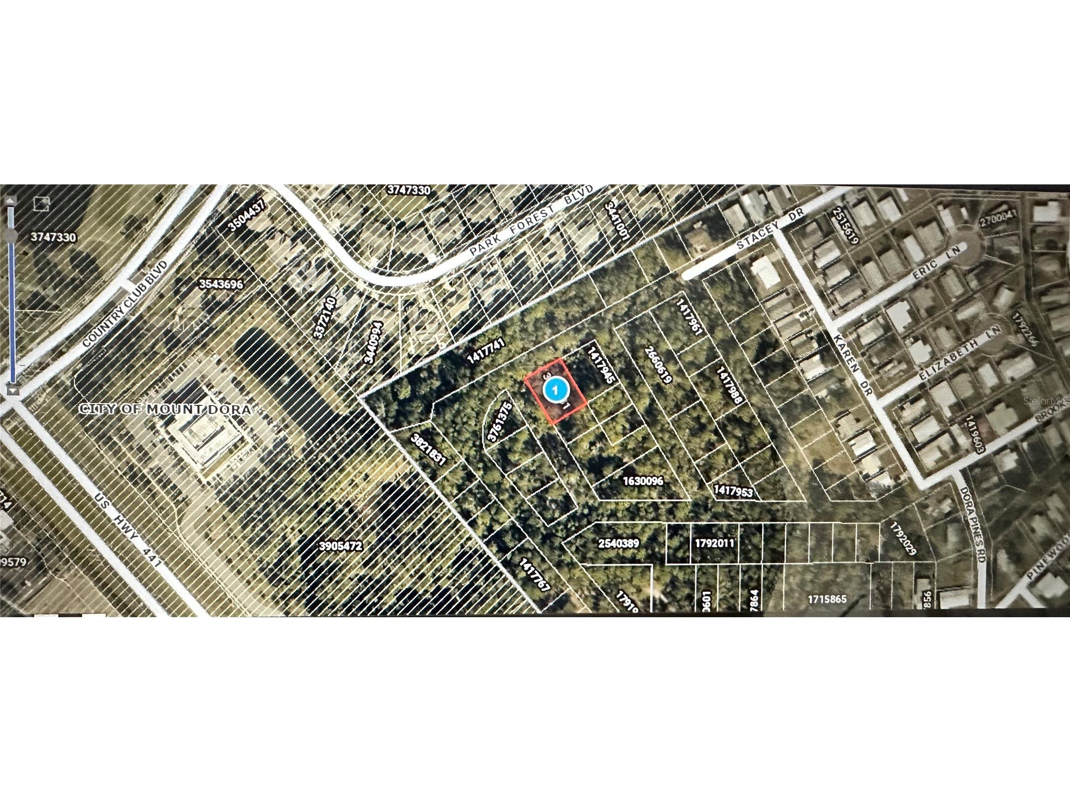 Lots 77 & 78 Park Forest Boulevard Mount Dora FL 32757 G5110861 image1