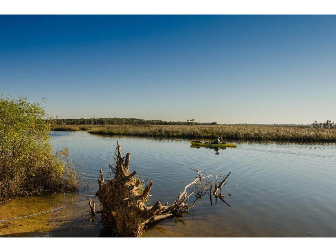 Lots 8-11 Indian Gulf Lane Spring Hill FL 34607 W7878643 image11