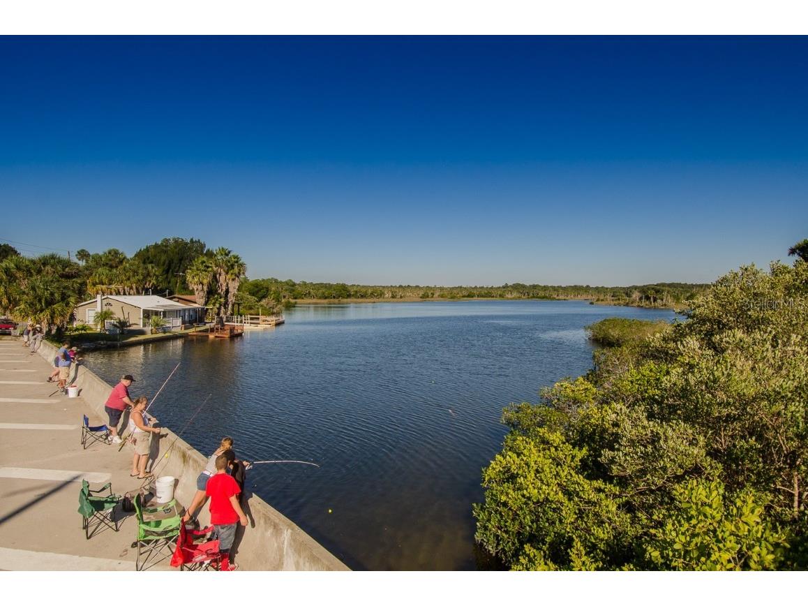 Lots 8-11 Indian Gulf Lane Spring Hill FL 34607 W7878643 image15