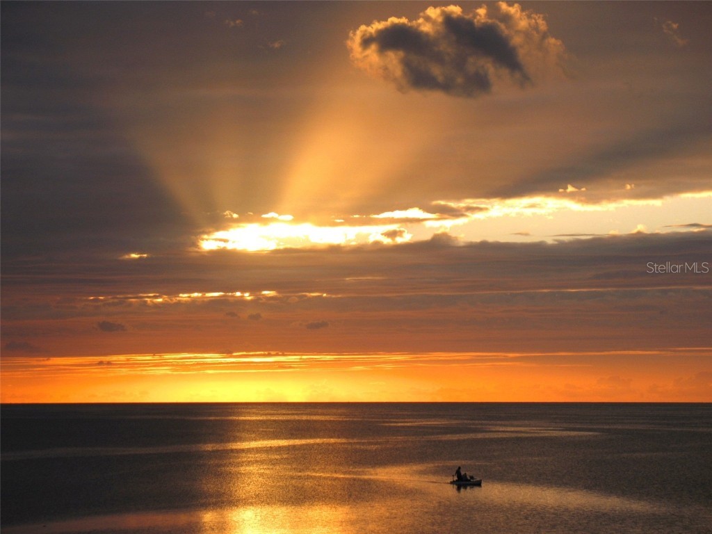 Lots 8-11 Indian Gulf Lane Spring Hill FL 34607 W7878643 image5