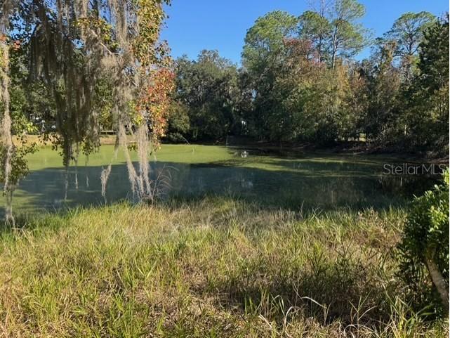 Lots SW 229th Court Dunnellon FL 34431 OM713555 image2