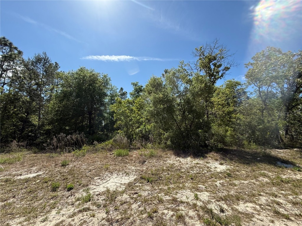 N/A SW 89th Terrace Dunnellon FL 34432 O6301155 image1