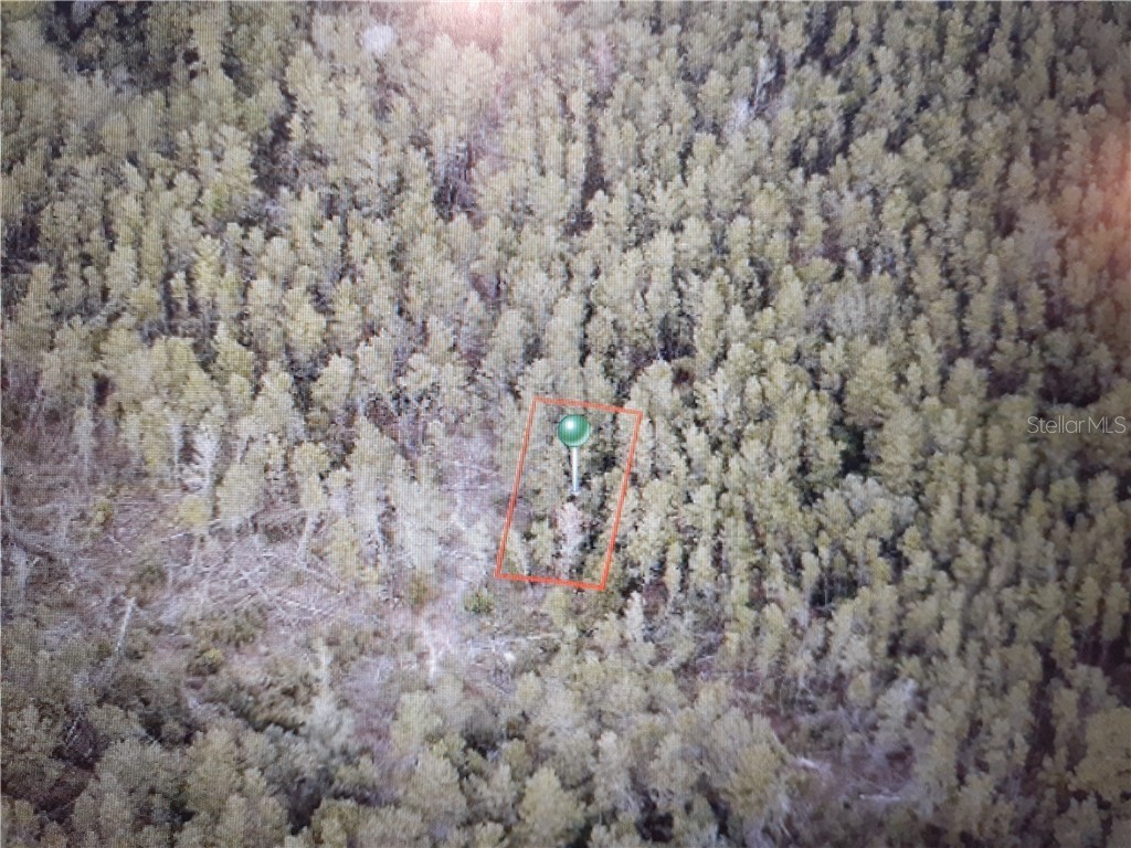 No Name No Name-2309733 Deland FL 32720 V4914238 image1