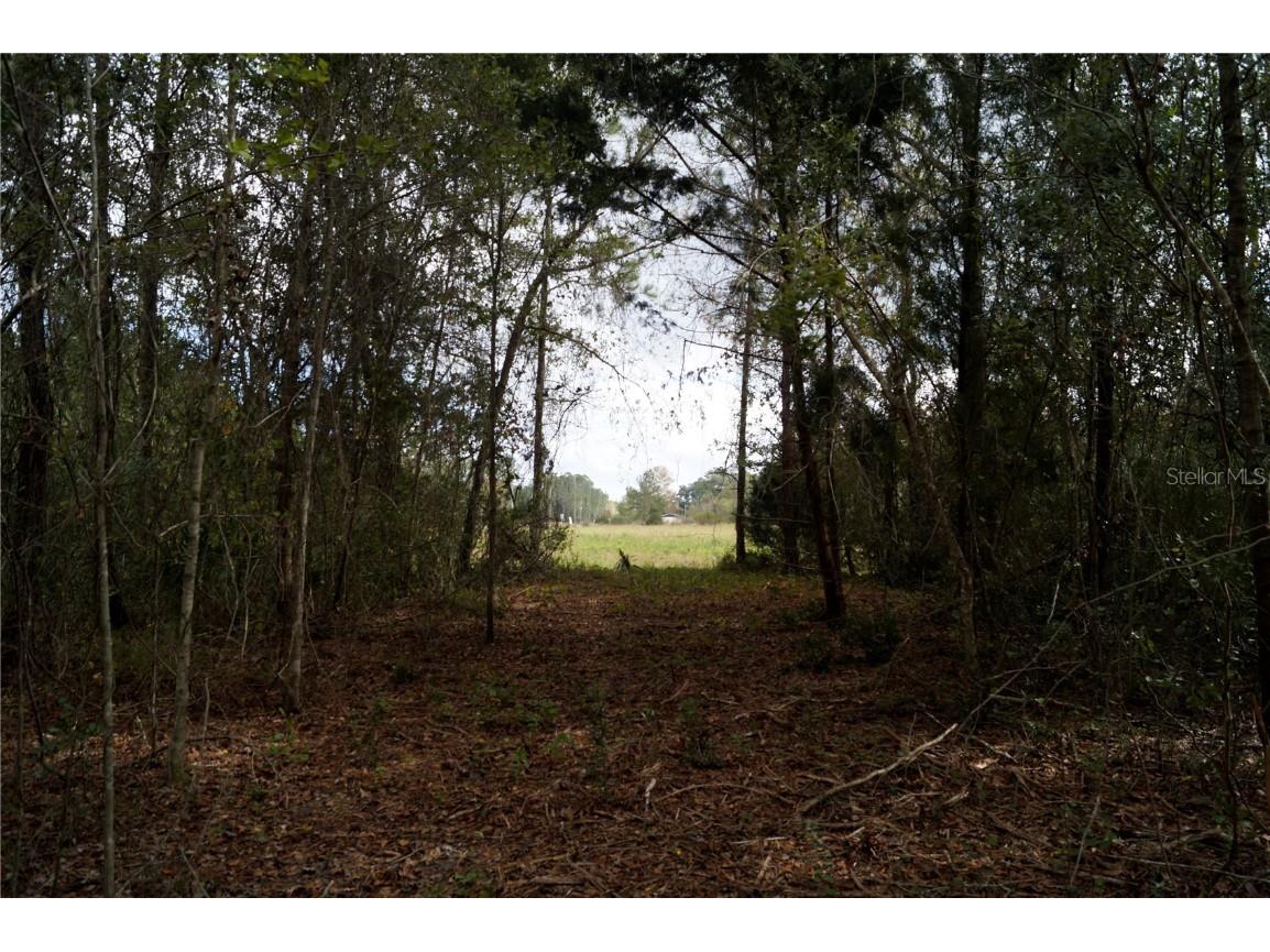 No address Us Hwy 90 Highway Macclenny FL 32063 OM690906 image34