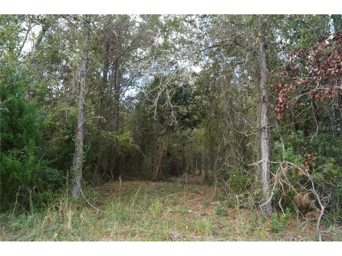 No address Us Hwy 90 Highway Macclenny FL 32063 OM690906 image35