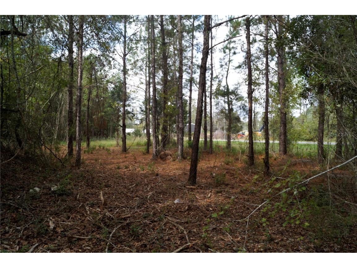 No address Us Hwy 90 Highway Macclenny FL 32063 OM690906 image36