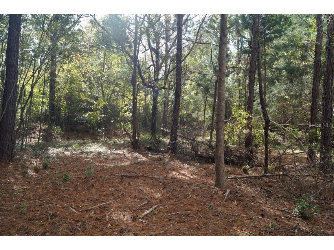 No address Us Hwy 90 Highway Macclenny FL 32063 OM690906 image39