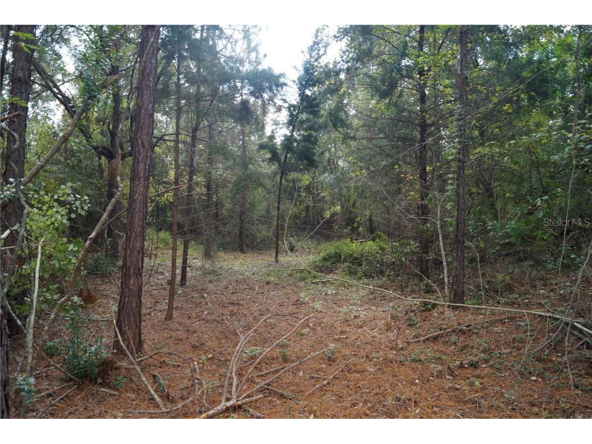 No address Us Hwy 90 Highway Macclenny FL 32063 OM690906 image40