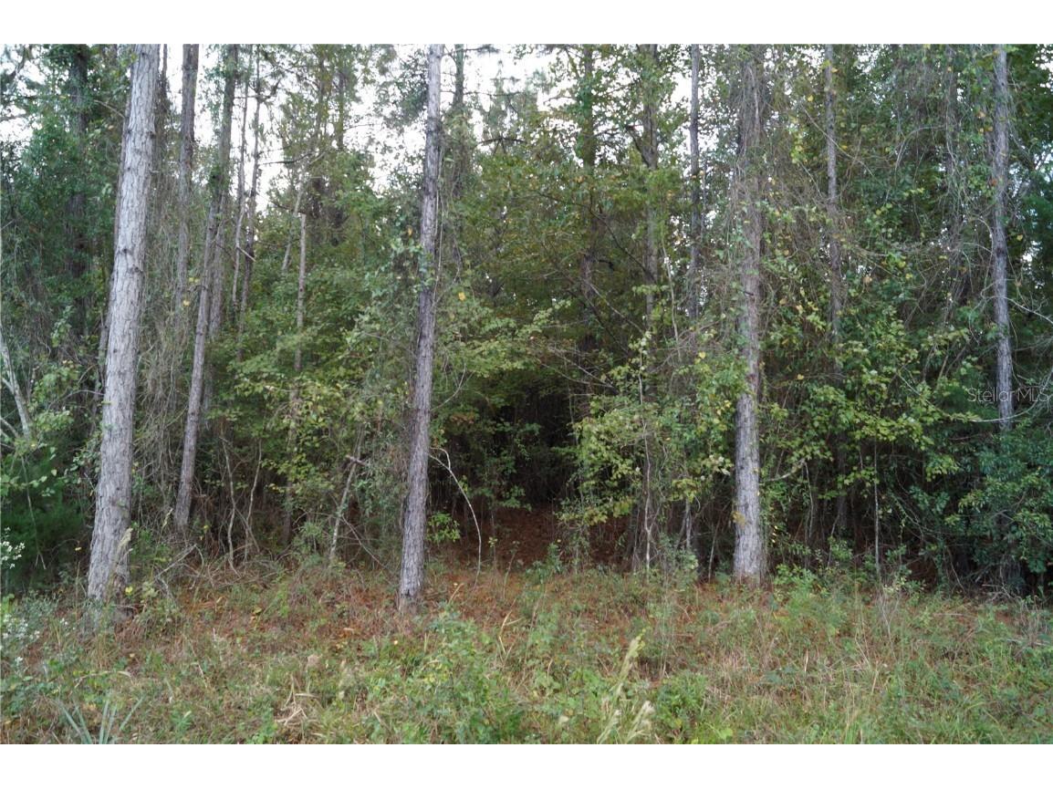 No address Us Hwy 90 Highway Macclenny FL 32063 OM690906 image41