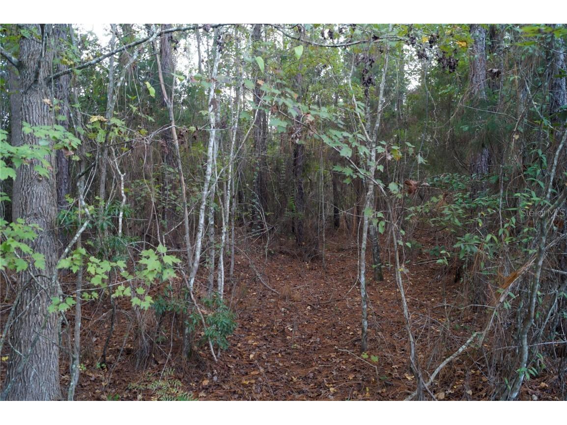 No address Us Hwy 90 Highway Macclenny FL 32063 OM690906 image42