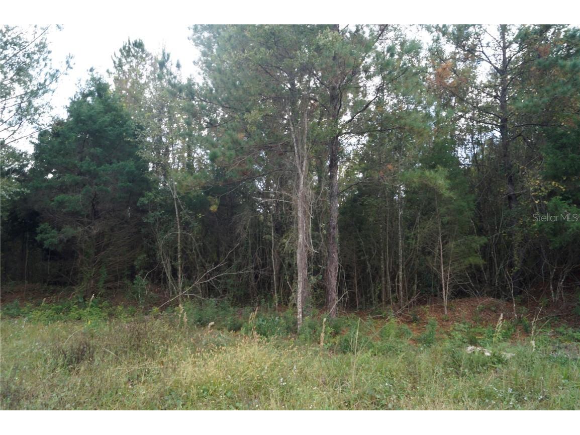 No address Us Hwy 90 Highway Macclenny FL 32063 OM690906 image43