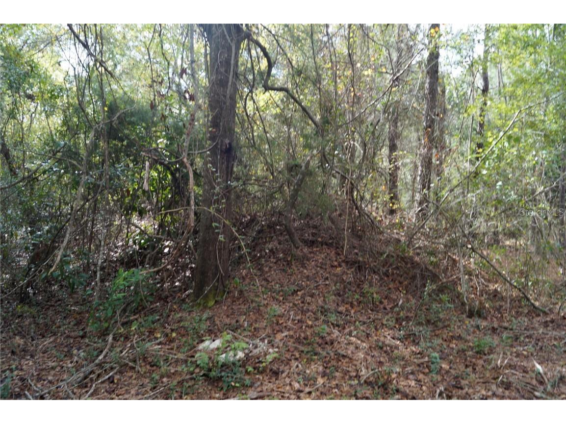 No address Us Hwy 90 Highway Macclenny FL 32063 OM690906 image44