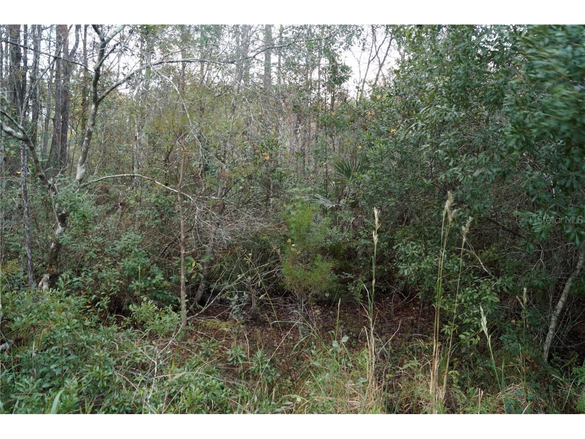 No address Us Hwy 90 Highway Macclenny FL 32063 OM690906 image45