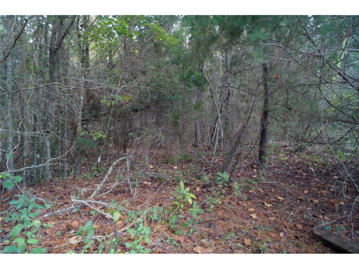 No address Us Hwy 90 Highway Macclenny FL 32063 OM690906 image46