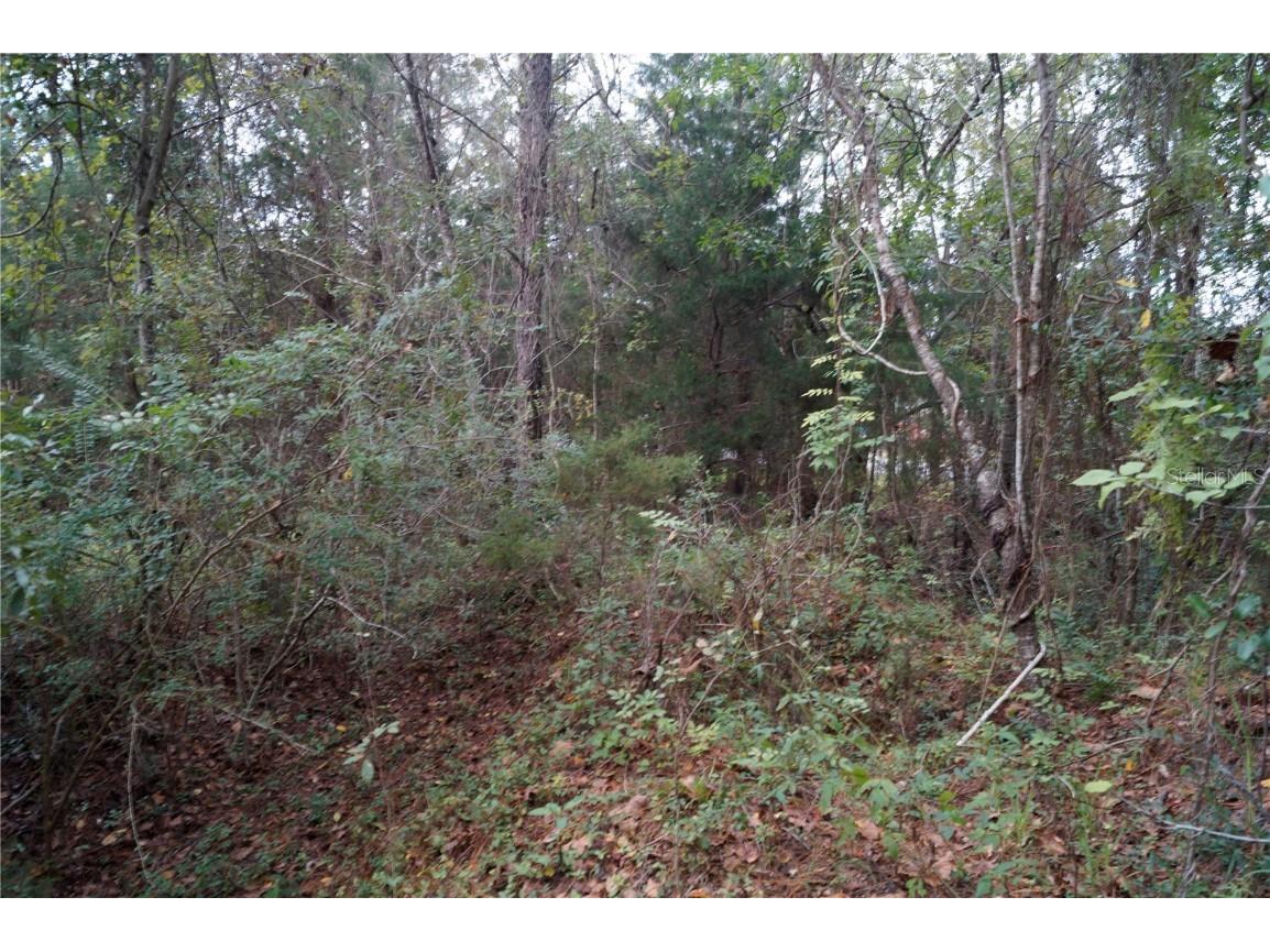 No address Us Hwy 90 Highway Macclenny FL 32063 OM690906 image47