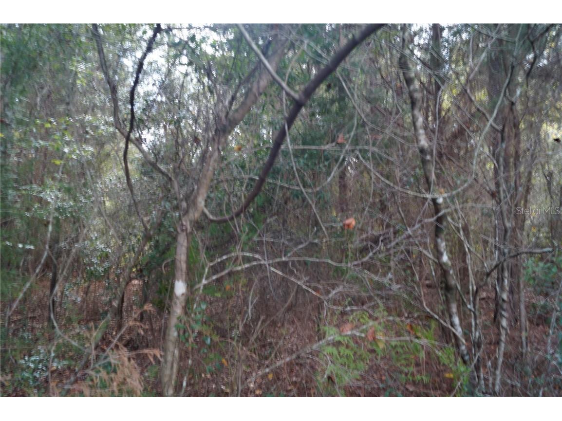 No address Us Hwy 90 Highway Macclenny FL 32063 OM690906 image48