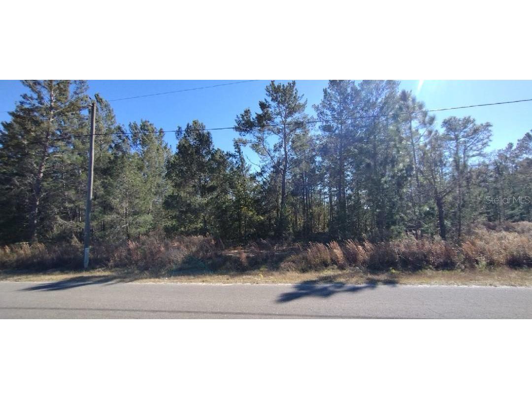 O Guava Pass Terrace Ocklawaha FL 32179 OM672102 image1