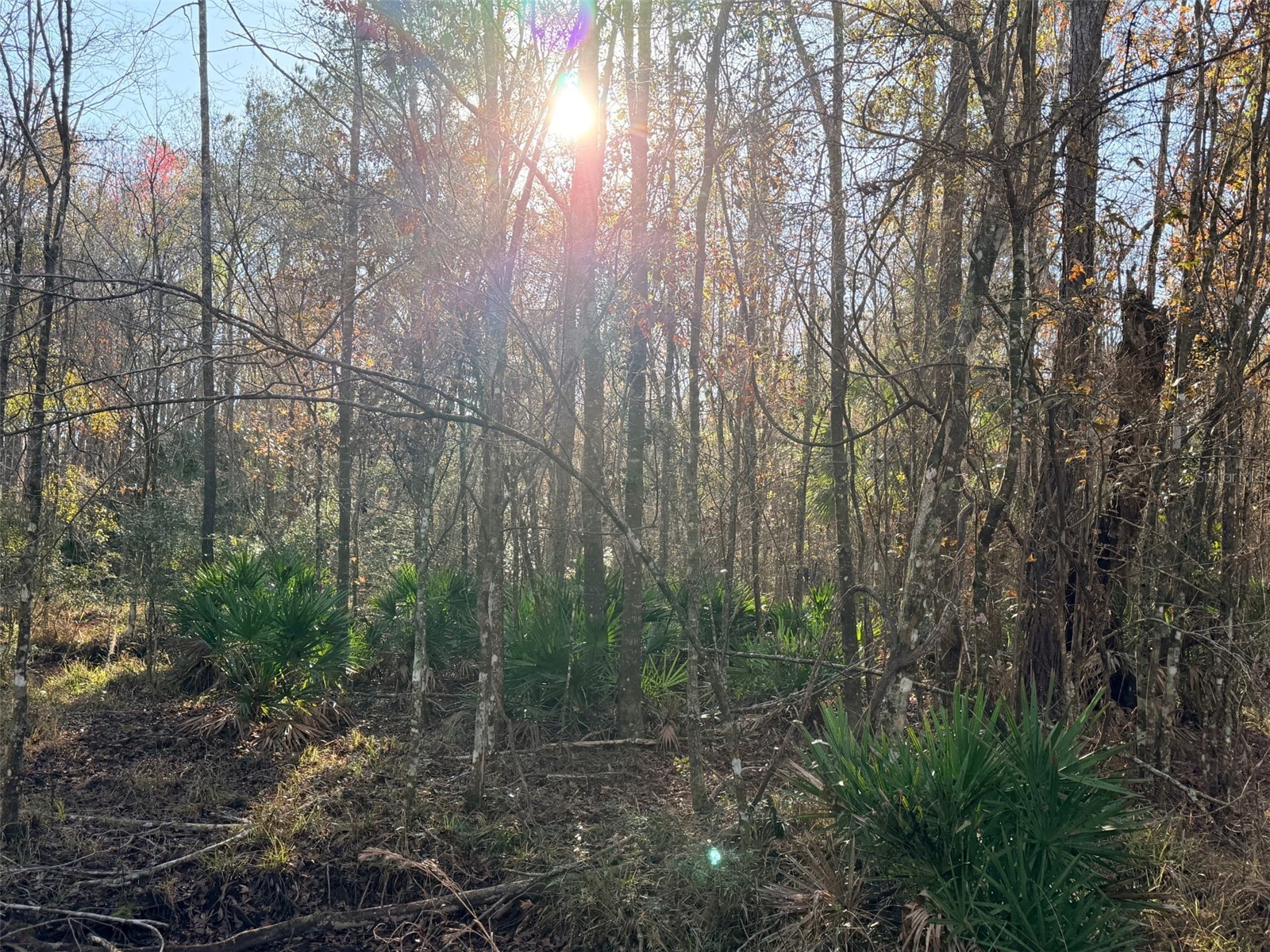 OFF NW 10 Place Chiefland FL 32626 GC537116 image19