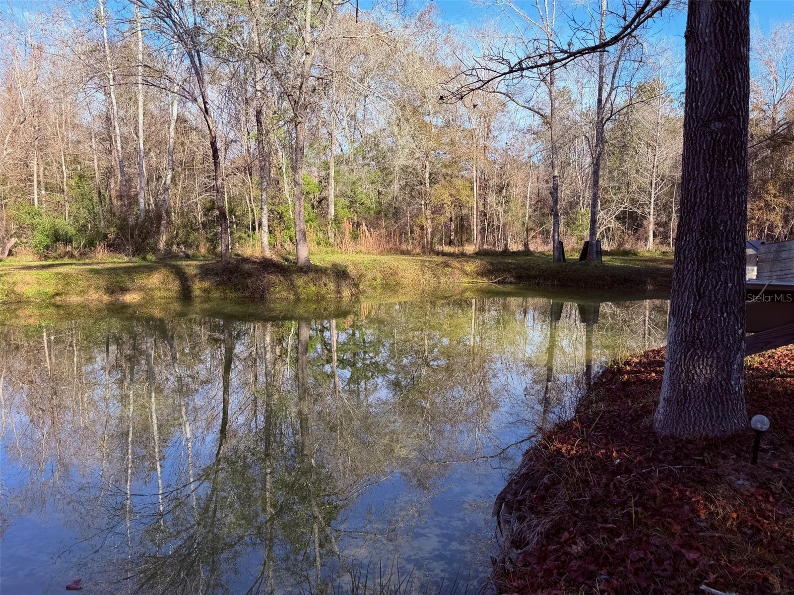 OFF NW 10 Place Chiefland FL 32626 GC537116 image4