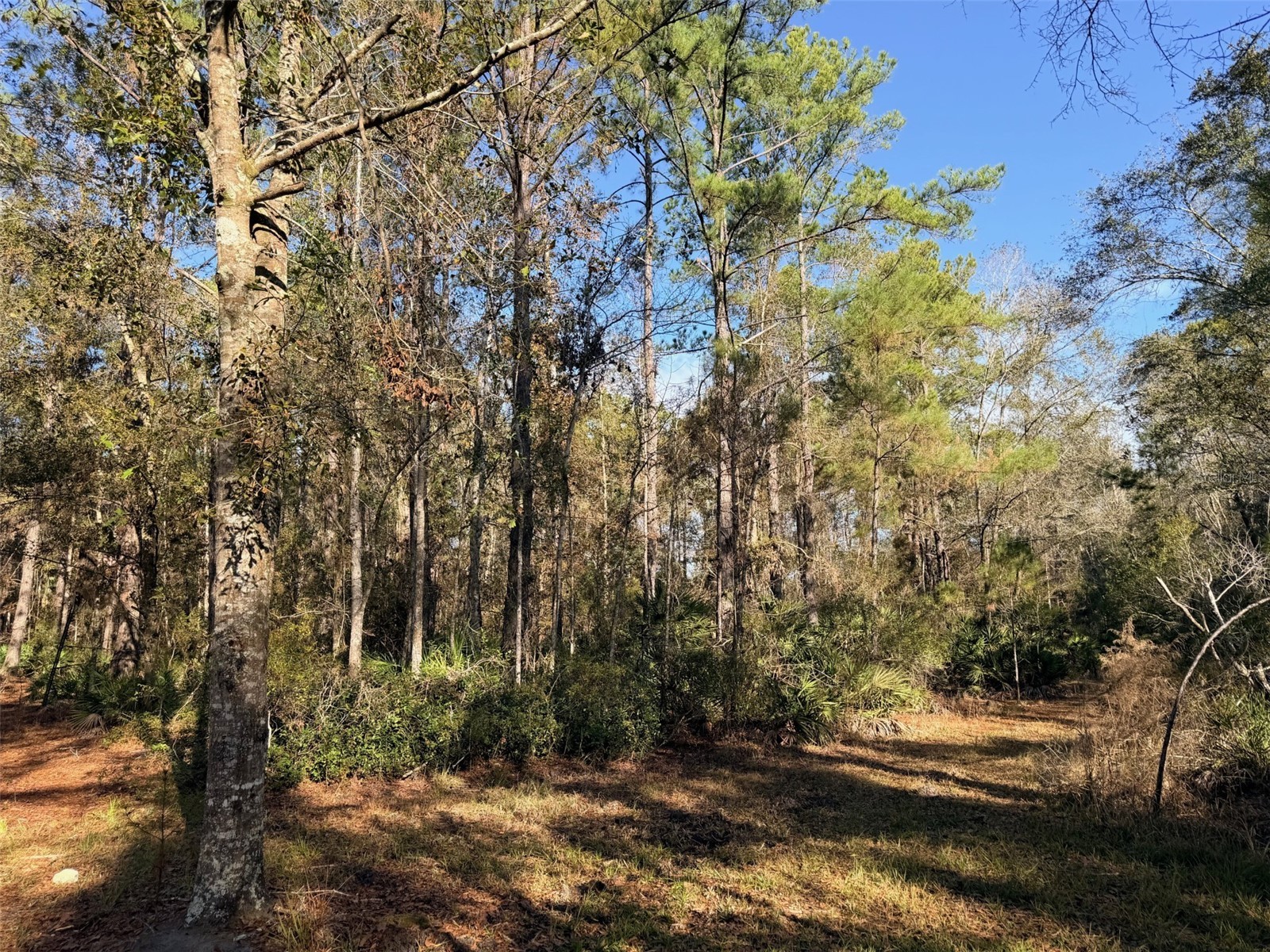 OFF NW 10 Place Chiefland FL 32626 GC537116 image5