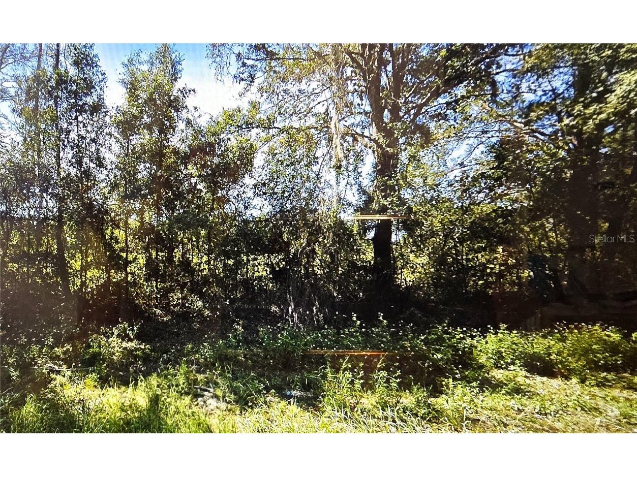 OFF NW Cr-138 Branford FL 32008 S5125978 image1