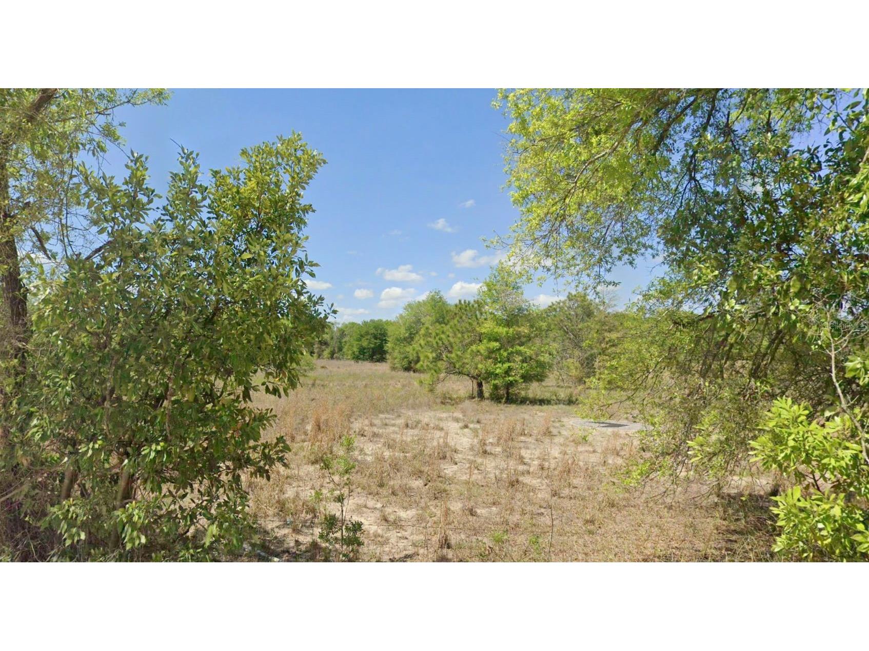 OFF NW Cr-138 #LOT 95 Branford FL 32008 D6147794 image4