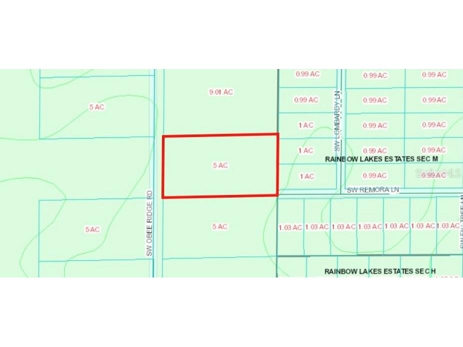 OO SW Remora Lane Dunnellon FL 34431 OM673558 image1