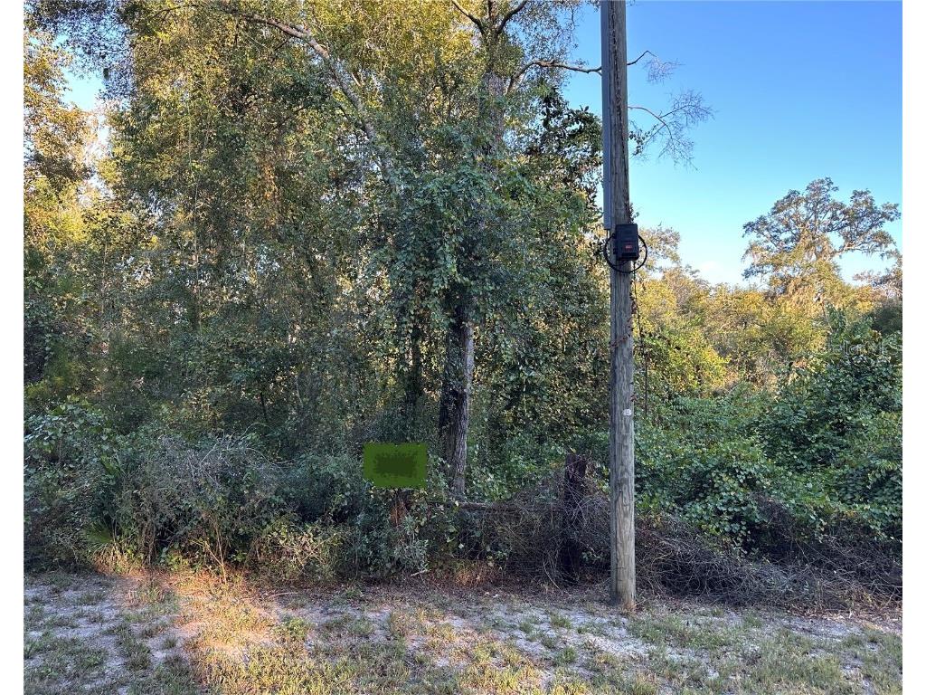 OOO SE 923rd Street Old Town FL 32680 GC535391 image1