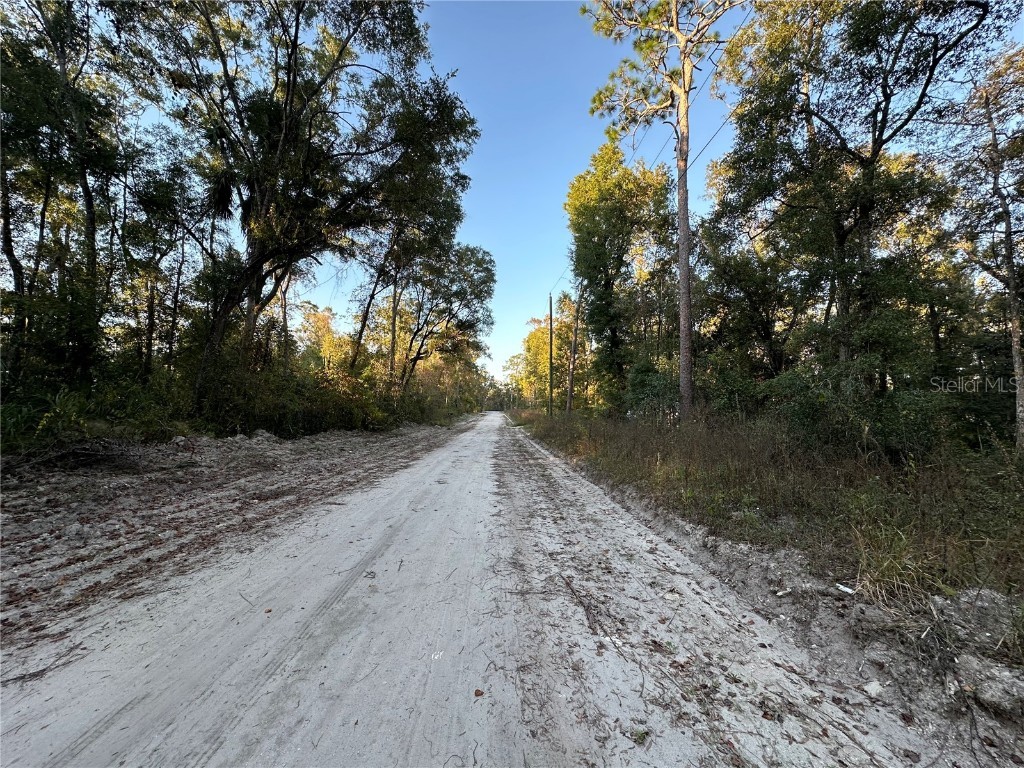 OOO SE 923rd Street Old Town FL 32680 GC535391 image3