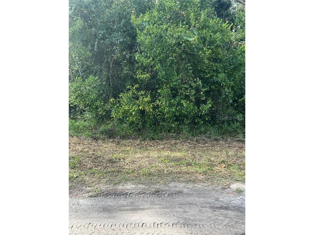 PT LTS 120-122 LK EUSTIS W Herrick Avenue Eustis FL 32726 G5103246 image1