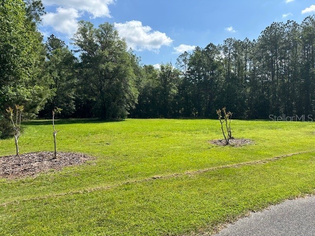 Parcel 1 Cr-18a Worthington Springs FL 32697 GC521314 image4